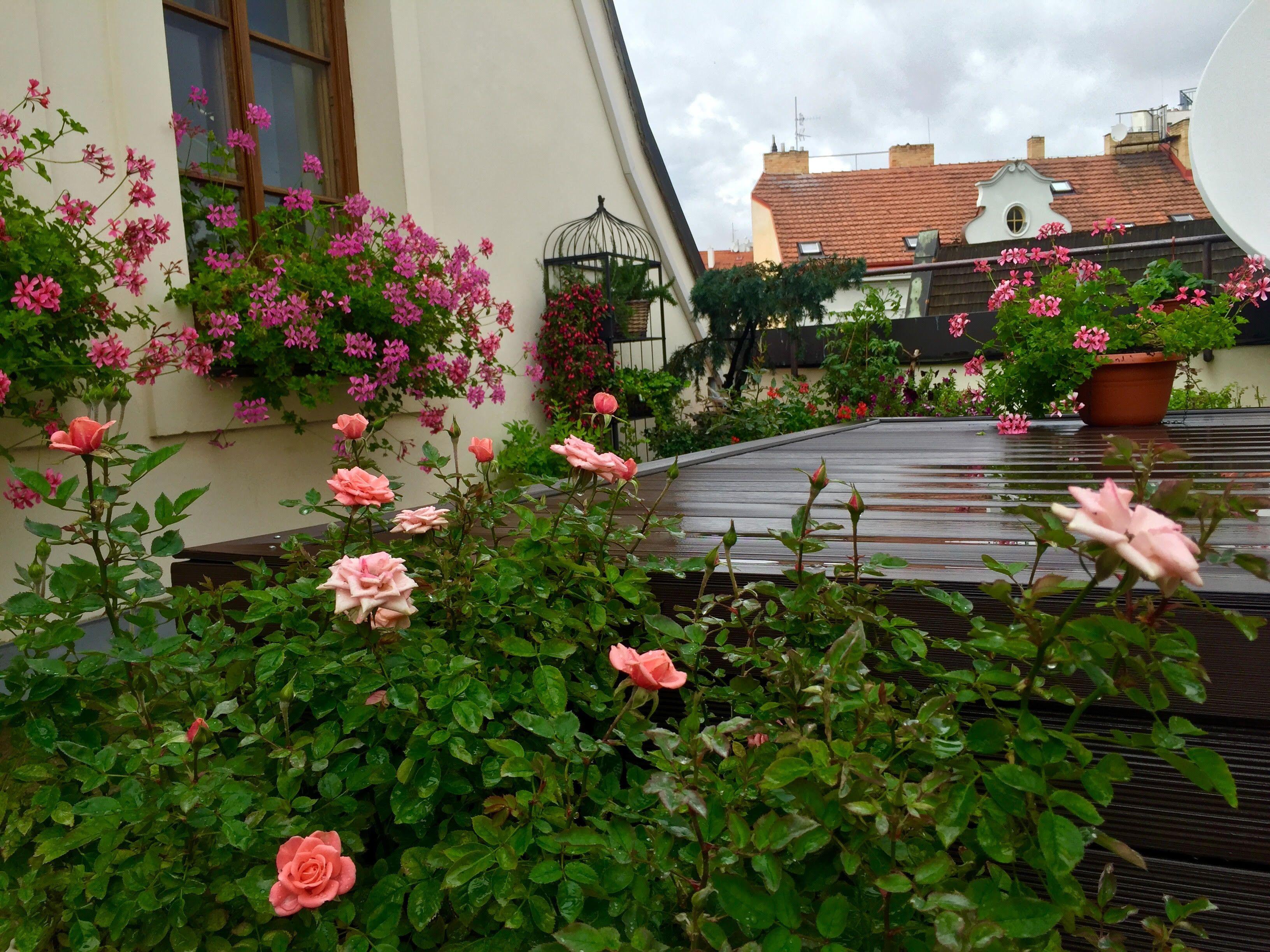 Old Town Boutique Apartments — Photos 1